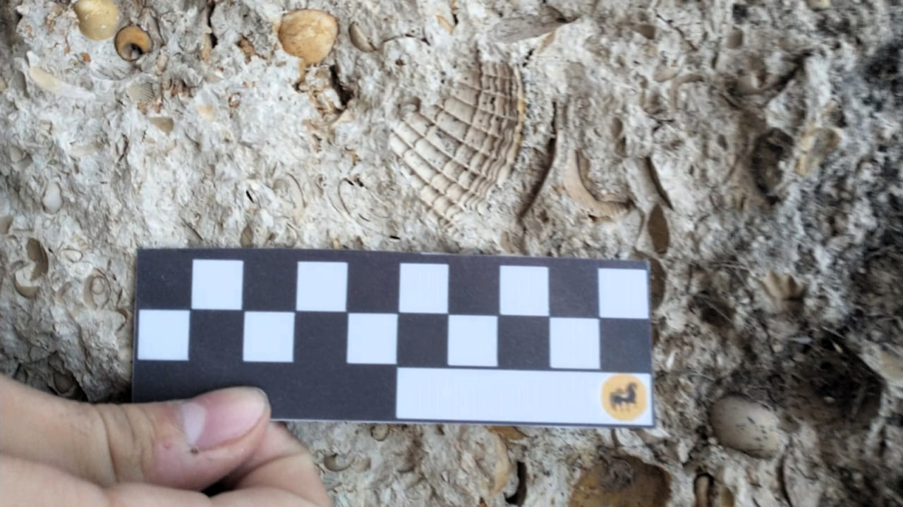 Villa Casa de Piedra: Educación Ambiental, Turismo y Producción