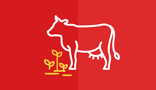 Producción Agro-ganadera